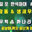 편의점낚시 이미지