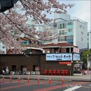 빈센트커피아라점