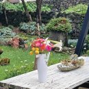 굿모닝제주공인중개사사무소 | 제주 한경면 청수리 정원주택 3동 펜션 매물, 제주 수익형 부동산