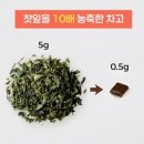 차고 | 카페인 걱정 없이 즐기는 티타임, 백다담 루이보스 차고 후기