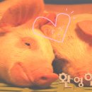 미래약품 주식회사 이미지