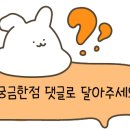 아쿠아 마린 펜션 이미지