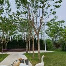 구리(일산) 이미지