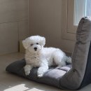 NR-7[중앙대로]-하-1 | [웨촬준비]D-7 웨딩촬영을 앞두고 받은 작은 준비들(약간은 웨촬 후기를 곁들인...?)