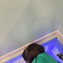 수원역 고등동 인근 식사 가능한 신상 키즈카페 원더빌 수원점 내돈내산 후기