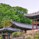 창덕궁 (昌德宮) 왕 (王) 들의 후원 정자 (亭子)