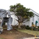 트릭아트뮤지엄 이미지