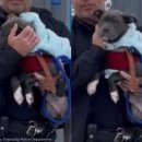 이동공원 화장실 이미지