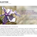 베니키아 더에이치 호텔 이미지