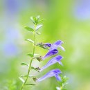 바느질정원 이미지