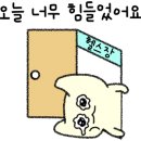 리폼드 크로스핏 이미지
