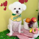 꼬맹이네 멍발소 이미지