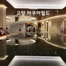 아쿠아필드 | 겨울 실내데이트 아쿠아필드 고양 찜질방 할인 후기