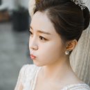 비아잔떼 이미지
