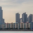 신흥비치 이미지