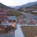 다리카페 이미지