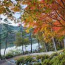 산인어탕칼국수 네이버블로그