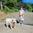 동명일박 이미지