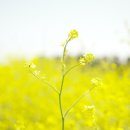 강서골드공인중개사사무소 이미지