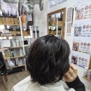 꽃미용실 | 세종미용실 붉은꽃헤어샵 복직 전 머리 변신 후기