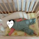 전주한옥마을소리울 이미지