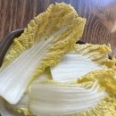 대정농업협동조합 | [서귀포/대정 맛집] | 한라전복, 2인 4만원에 전복버터구이+돌솥밥까지? 가성비 폭발 후기