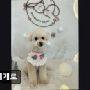 나에개로