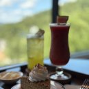 카페보문 | [대전 전망 좋은 카페] 보문산 중턱 뷰맛집 카페 보문플랜트 방문 후기