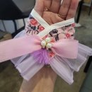 광릉내 애견 이미지