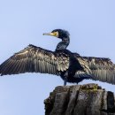 연현태권도 이미지