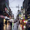 보금