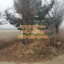 여주-1026 네이버블로그