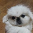 쮸쮸 이미지