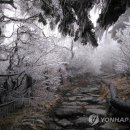 설악산냉면 이미지