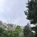세명여행사주 브런치