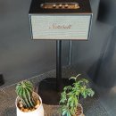 가향 | 대구 중구 청라언덕카페 펜키 가향커피 방문후기