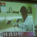 홍가원홍삼 이미지