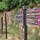 치악산둘레길 6코스 매봉산자락길 이미지