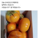 높은산 숙성된 단감 김장감 감말랭이 깐호두 냉이 이미지