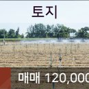 진플러스치과의원 이미지