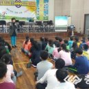 효포초등학교 이미지