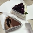 알라꿀 펫살롱 | [9월 셋째주] 홍대나들이 (with 하이디라오) / 디저트 / 메추리알 장조림 / 불닭크림파스타