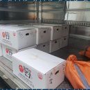 대한서비스 이미지