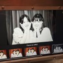 스튜디오 135 호스텔 | 인생네컷 아주 마음에 들어 (마야몰/DOTLSD/인생네컷/호스텔룰라바이/무에타이클래스/왓우몽/동굴사원)