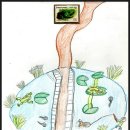 독정초등학교 이미지