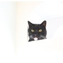 나비호텔 이미지