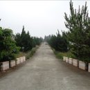 강정동-20 이미지