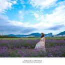 대저생태공원 이미지