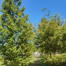 매곡셀프세차장 이미지