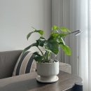 방배로23길 26 이미지